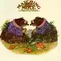 <b>Matching Mole</b> • Matching Mole