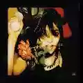 <b>Public Image Ltd.</b> • Flowers Of Romance
