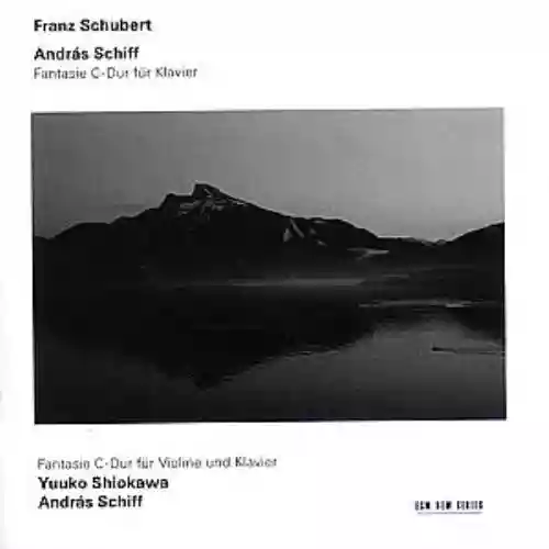 Cover di Fantasie D 760 ("Wanderer") e D 934