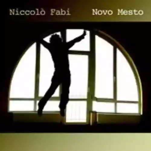 Cover Niccolò Fabi - Novo Mesto