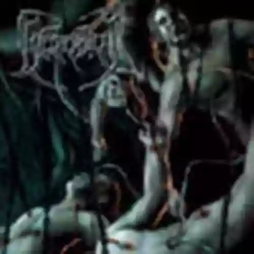 Cover di Recounts Of Disembowelment