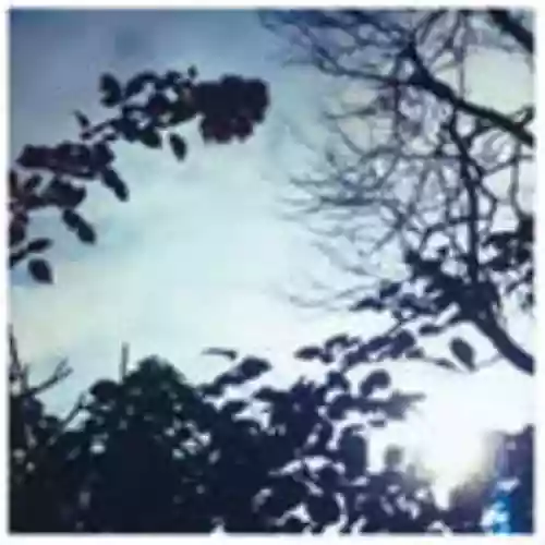 Cover di Flowing Seasons