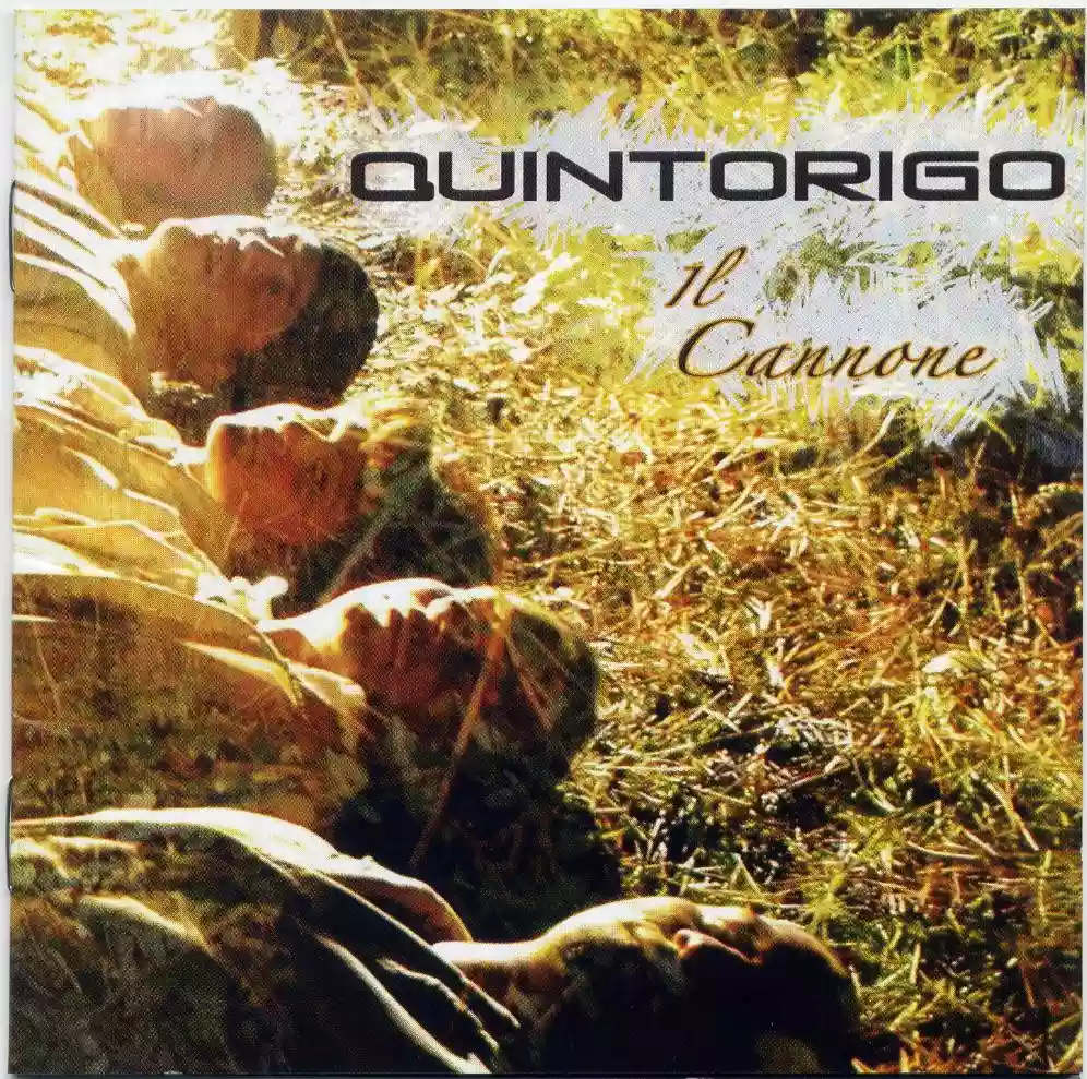 Quintorigo: Il cannone