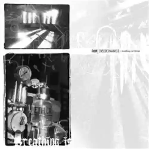 Cover di Breathing Is Irrilevant