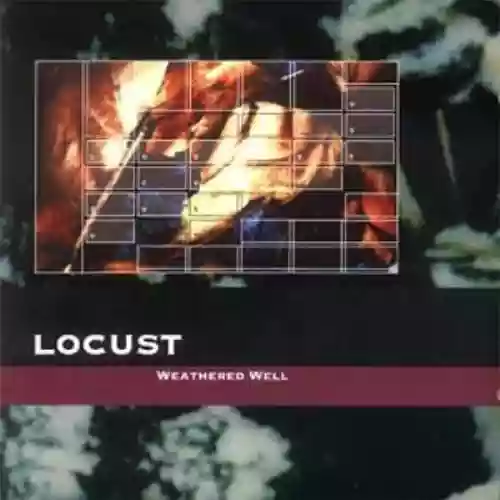 Cover di Weathered Well