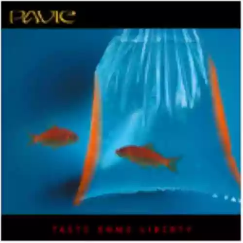 Cover di Taste Some Liberty
