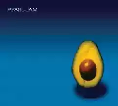 Cover of Pearl Jam Pearl Jam
