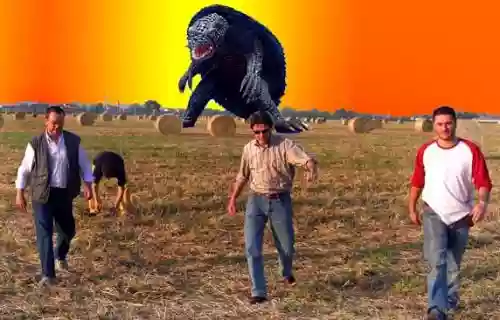 Cover di Fankulo la tartaruga