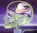 <b>Clearlight Symphony</b> • Clearlight Symphony