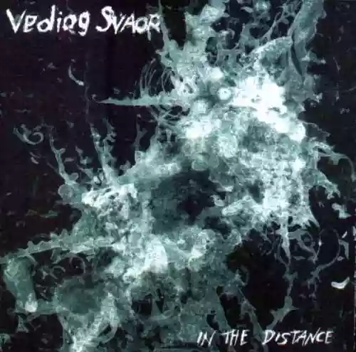 Cover di In the Distance