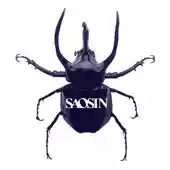 Cover of Saosin Saosin