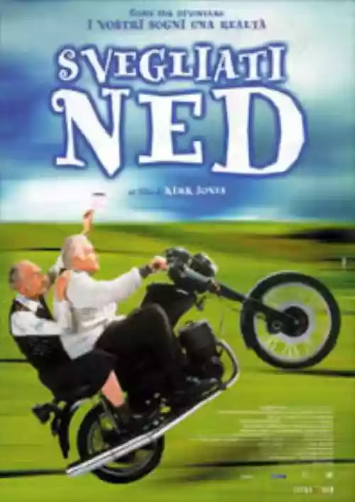 Cover di Svegliati Ned