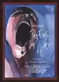 <b>Alan Parker</b> • Pink Floyd The Wall