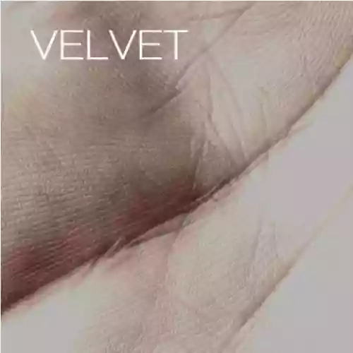 Cover di Velvet
