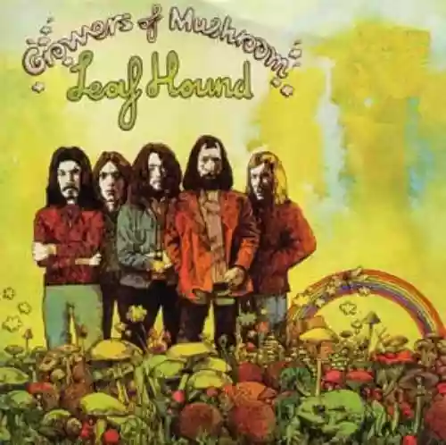 Cover Leaf Hound - Growers of Mushroom