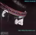 <b>Bruce Palmer</b> • The Cycle is Complete