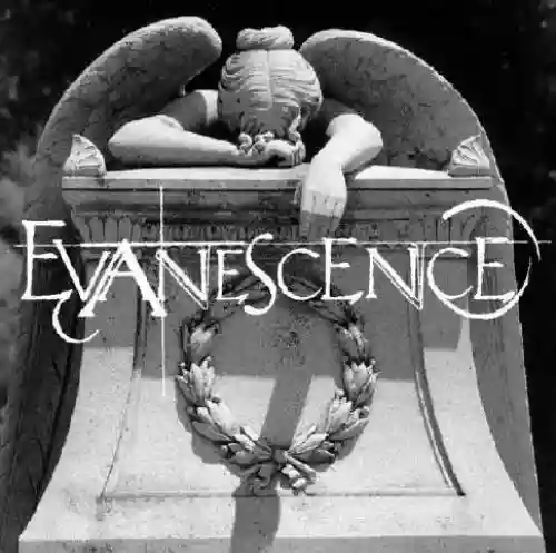Cover di Evanescence