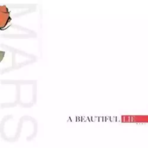 Cover di A Beautiful Lie