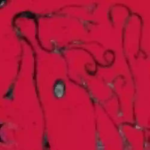 Cover di Tam-el