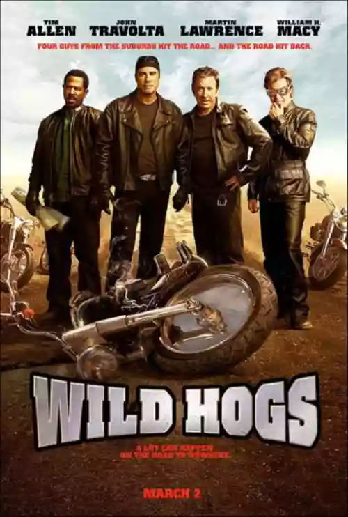 Cover di Wild Hogs (Svalvolati On The Road)