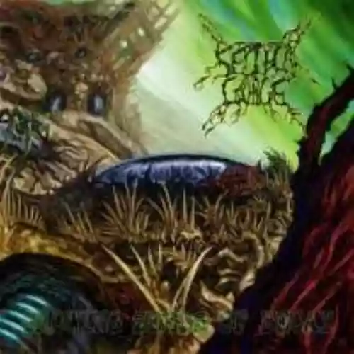 Cover di Growing Seeds of Decay