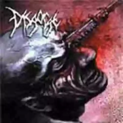 Cover di Cranial Impalement