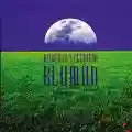 <b>Roberto Vecchioni</b> • Blumùn