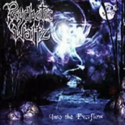 Cover di Into the Everflow