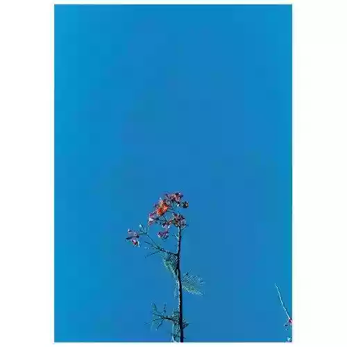 Cover di EP
