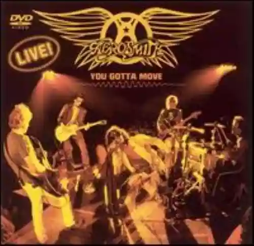 Cover di You Gotta Move