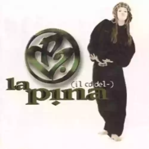 Cover di Il CD Della Pina
