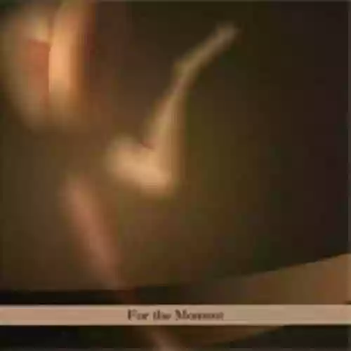 Cover di For The Moment