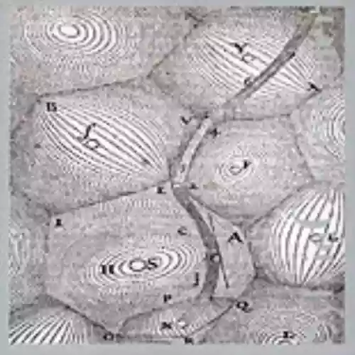 Cover di Signs and Epigrams