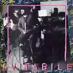 Copertina di Enzo Avitabile Avitabile