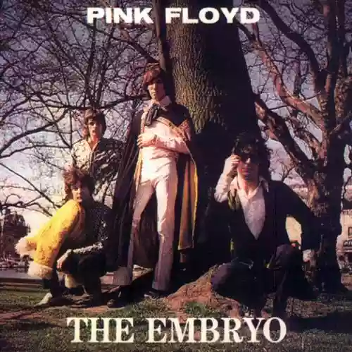 Cover di Embryo