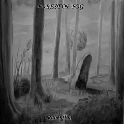 Cover di Rabenflug