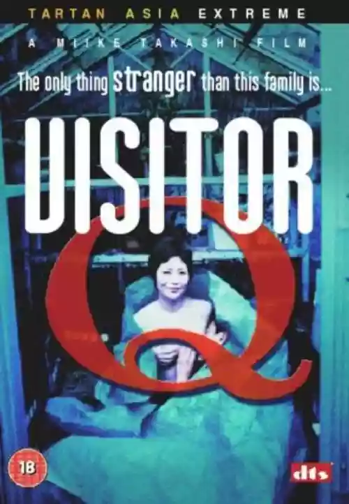 Cover di Visitor Q