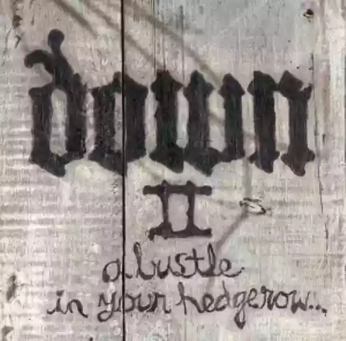 Cover di A Bustle In Your Hedgerow