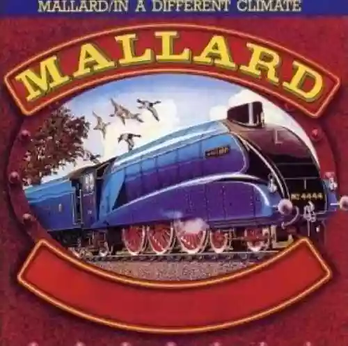 Cover di Mallard/In A Different Climate