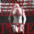<b>The Jesus Lizard</b> • Pure