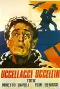 <b>Pier Paolo Pasolini</b> • Uccellacci e Uccellini