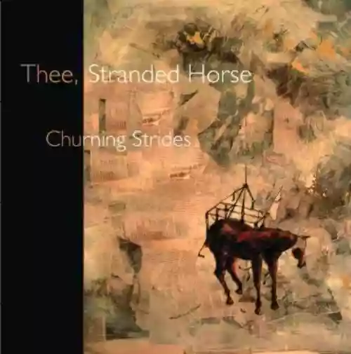 Cover di Churning Strides