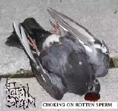 Cover di Choking On Rotten Sperm