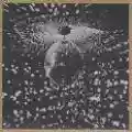 <b>Neil Young & Pearl Jam</b> • Mirror Ball