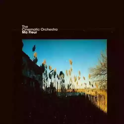 Cover The Cinematic Orchestra - Ma fleur