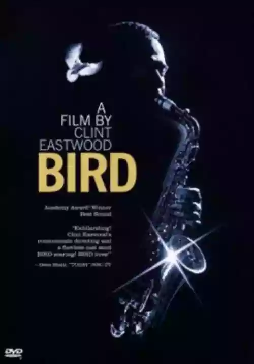 Cover di Bird