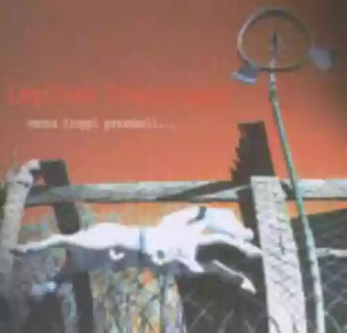 Cover di Senza Troppi Preamboli