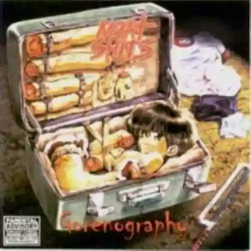 Cover di Gorenography