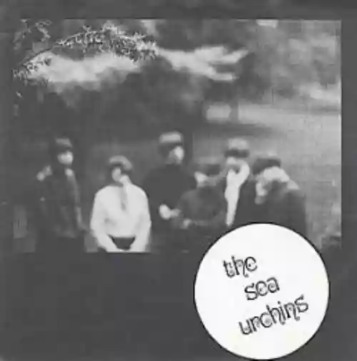 Cover The Sea Urchins - Pristine Christine