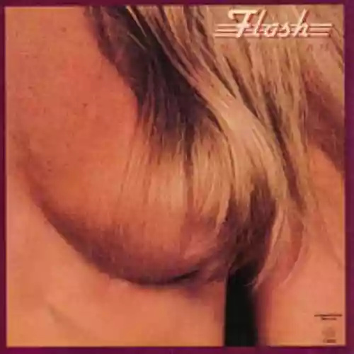 Cover Flash - In the Can